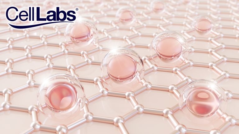 Why You Need Collagen - CellLabs